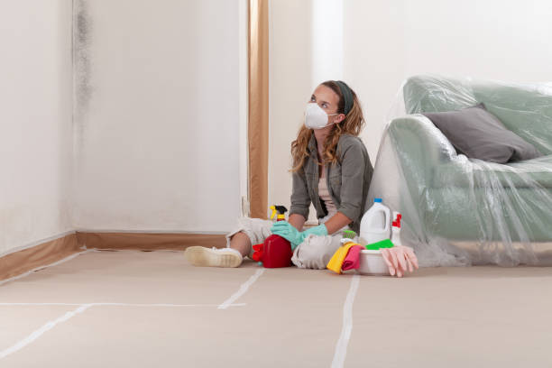 Reliable Mold Remediation contractor in Silverdale, PA by WQB Mold Removal